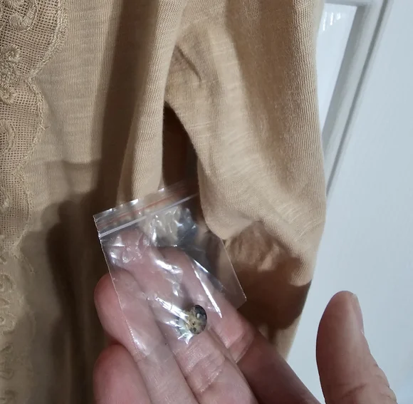 Soft Surroundings Womens Small Beige Embroidered Lace Boho Peasant Tunic Top - Picture 5 of 8